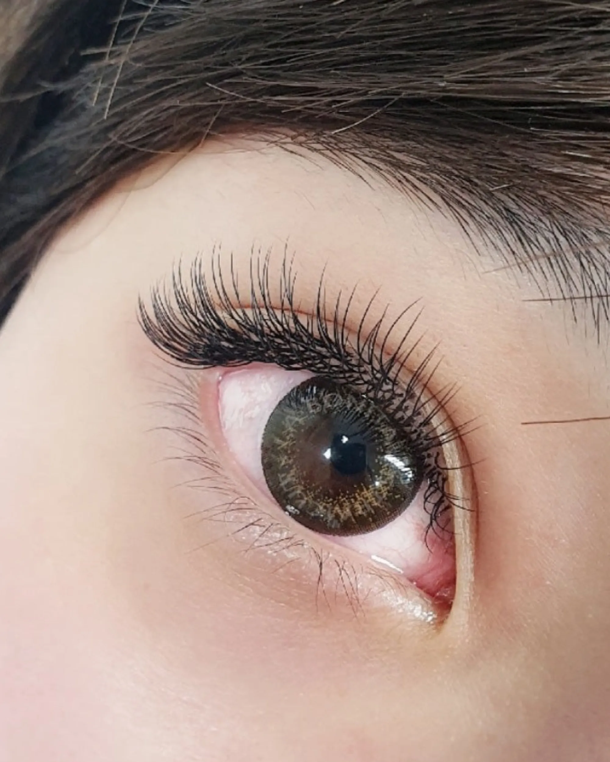 C-Curl Flat EyeLash Extensions (Mixed Trays)