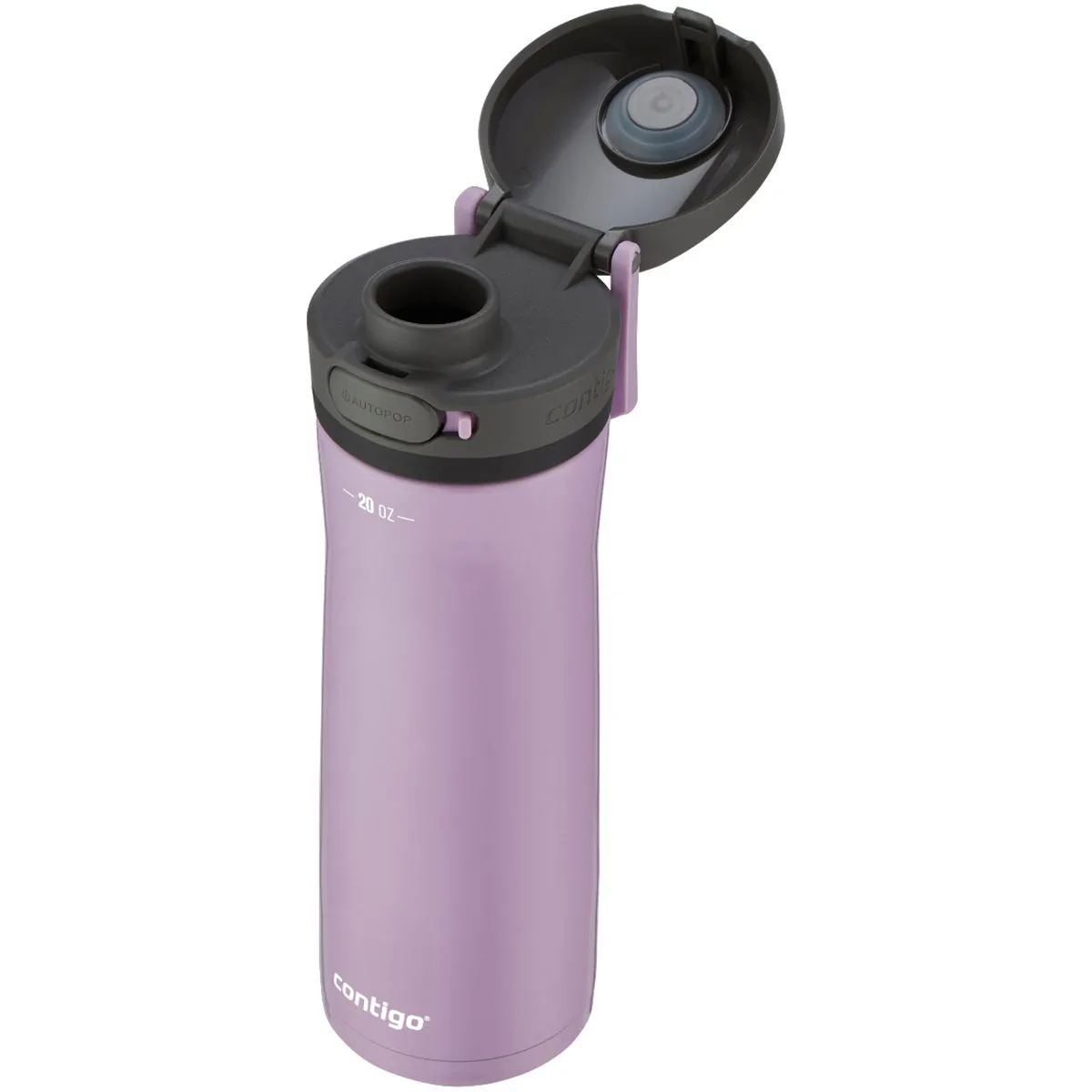 Contigo 20 oz. Jackson Chill 2.0 Vacuum Insulated Stainless Steel Water Bottle