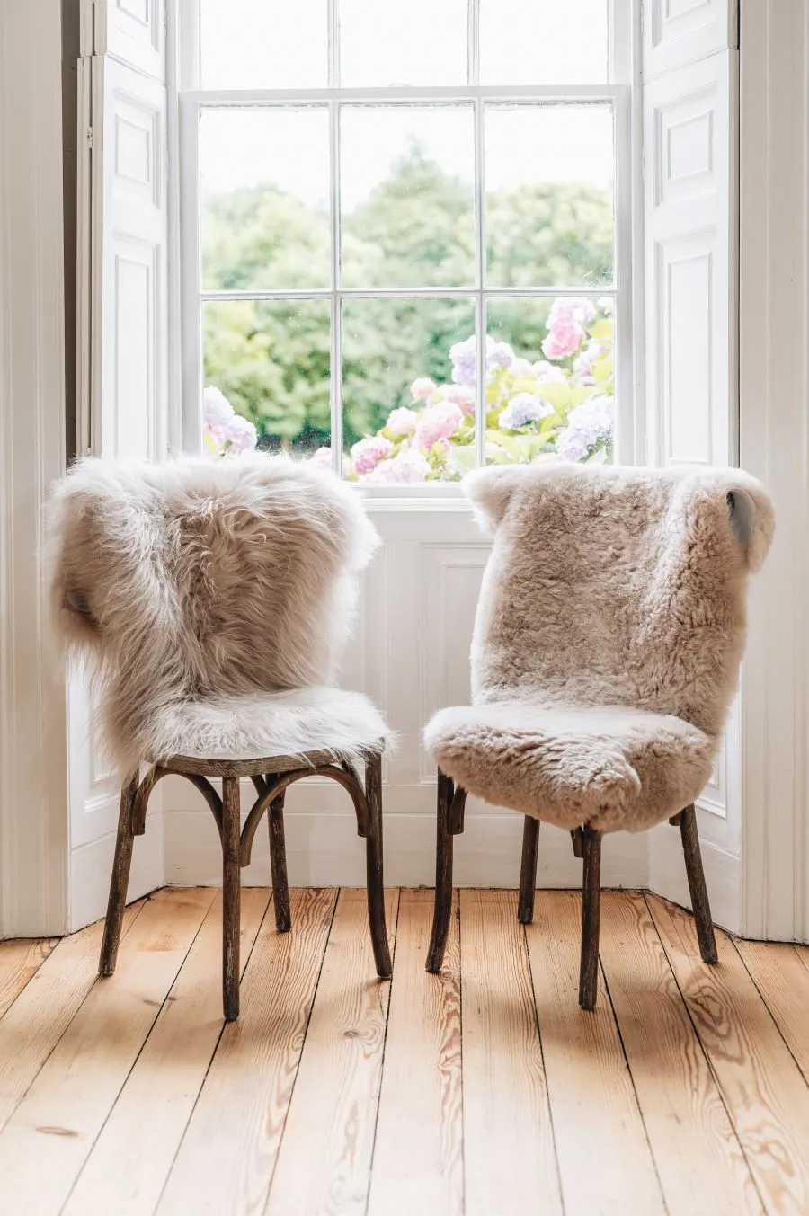 Dyed Icelandic Sheepskin Rug (Short Hair)