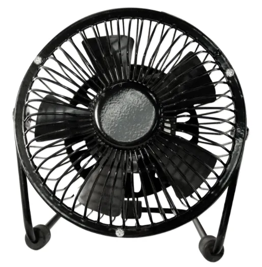 Lebeauty Mini Fan