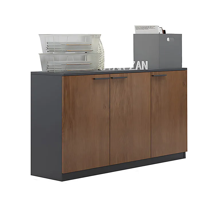 Office File Cabinet, Low Cabinet, Wooden Cabinet with Lock