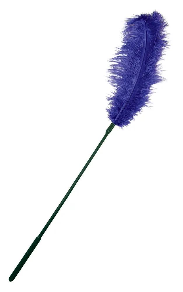 Ostrich Feather Purple