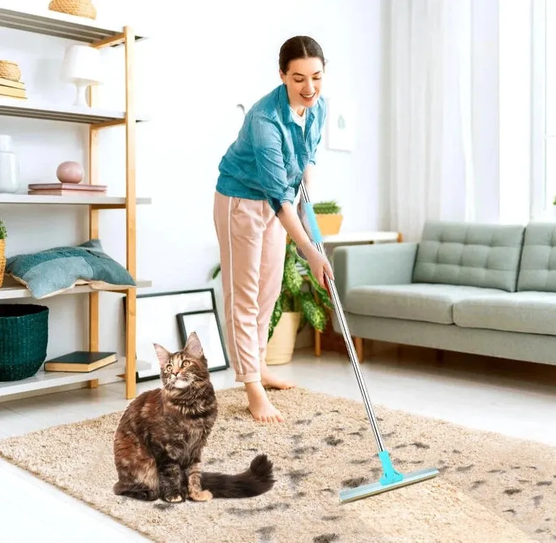 Pet Hair/Lint Remover with Carpet Rake