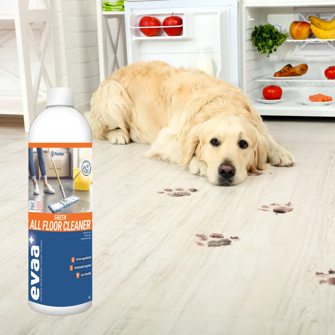 Probiotic Green Floor Cleaner (1:100 Concentrate) | Provilan evaa 