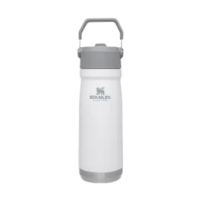 Stanley IceFlow Flip Straw Water Bottle 22 OZ - Polar